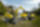 Wacker Neuson ET24
