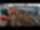 Koparka Kubota _KX019 _4 _1,8t