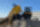 Wywrotka Wacker Neuson DV100 (10t)