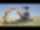 Excavator Case_CX26C_2.4t (2500 kg)