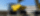 Wywrotka Wacker Neuson DV100 (10t)